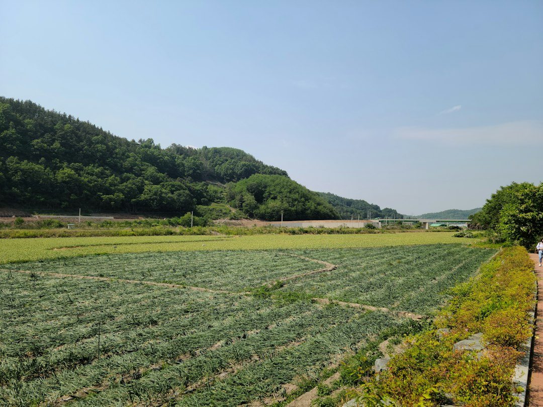 가계부추천 참고 이미지 2